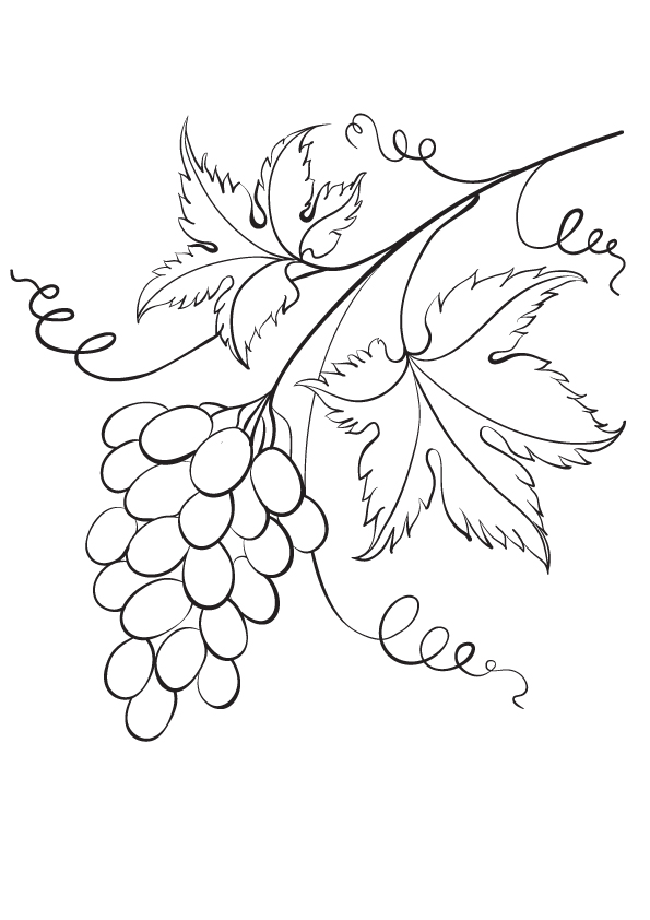 Plansa de colorat cu Fructe 227 13